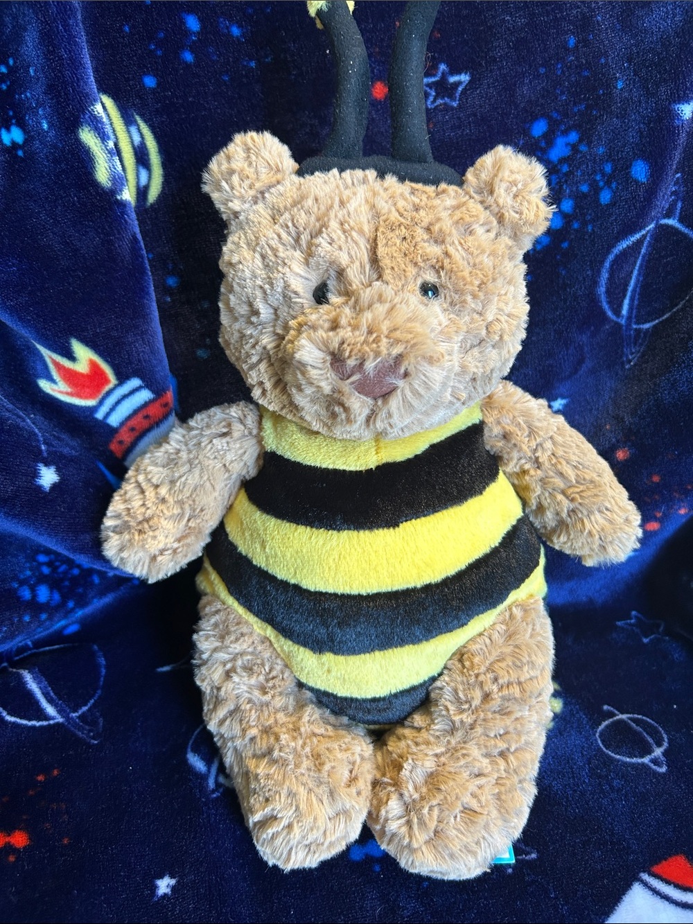 Rare/Retired Plush Bear in Yellow & Black Bee Costume